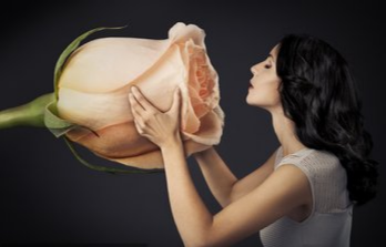 scent-elgent fragrance